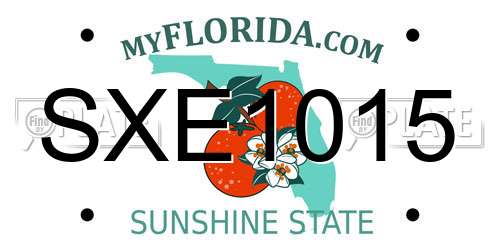 SXE1015 Florida License Plate