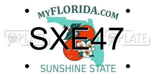 SXE47 Florida License Plate
