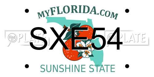 SXE54 Florida License Plate