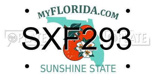 SXF293 Florida License Plate