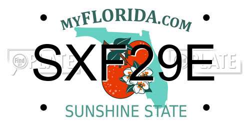SXF29E Florida License Plate