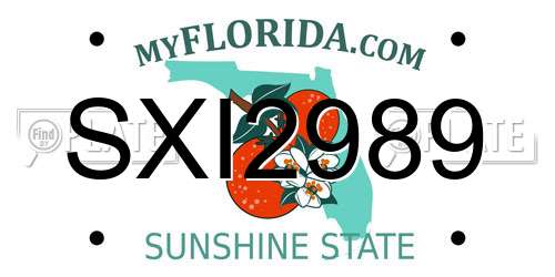 SXI2989 Florida License Plate
