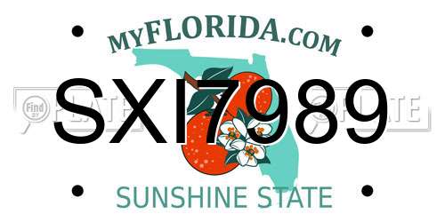 SXI7989 Florida License Plate