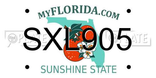 SXL905 Florida License Plate