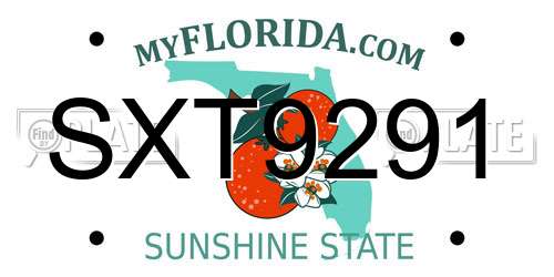 SXT9291 Florida License Plate