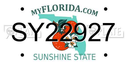 SY22927 Florida License Plate