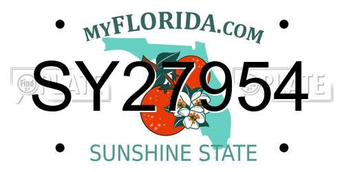 SY27954 Florida License Plate