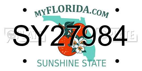 SY27984 Florida License Plate