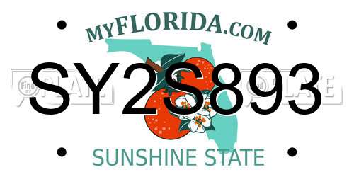 SY2S893 Florida License Plate