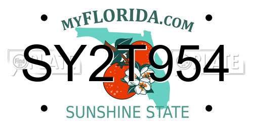 SY2T954 Florida License Plate