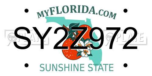 SY2Z972 Florida License Plate