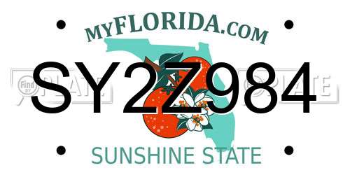 SY2Z984 Florida License Plate