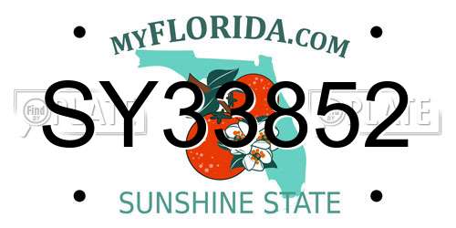 SY33852 Florida License Plate