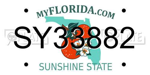 SY33882 Florida License Plate