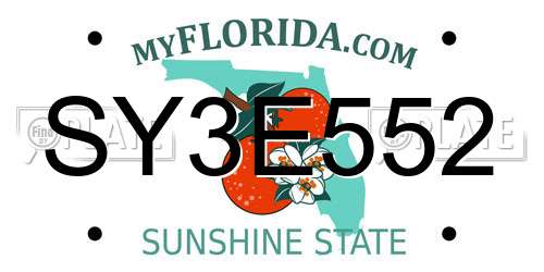 SY3E552 Florida License Plate