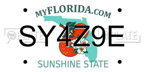 SY4Z9E Florida License Plate