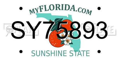 SY75893 Florida License Plate