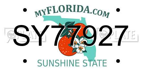 SY77927 Florida License Plate