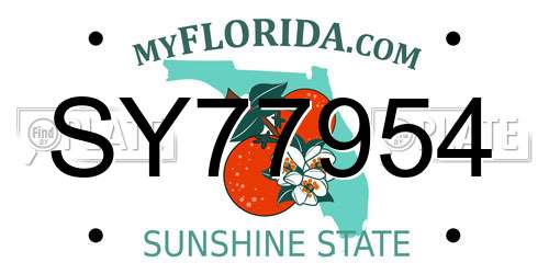 SY77954 Florida License Plate