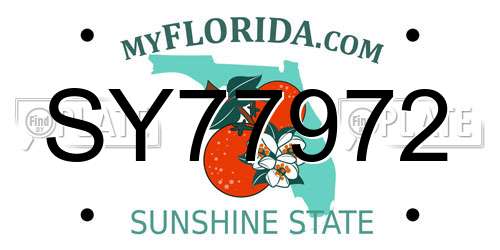 SY77972 Florida License Plate