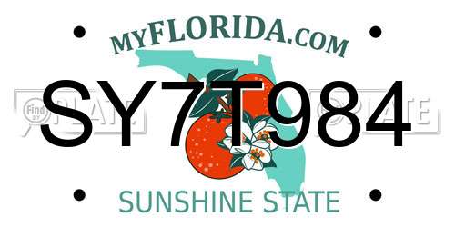 SY7T984 Florida License Plate