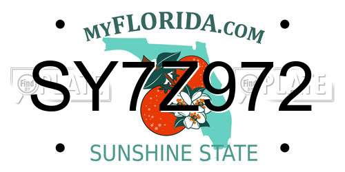 SY7Z972 Florida License Plate