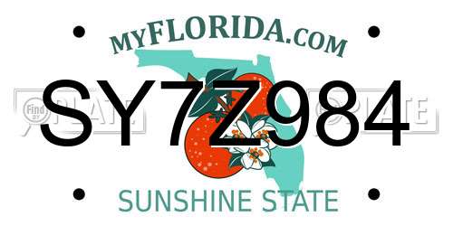 SY7Z984 Florida License Plate