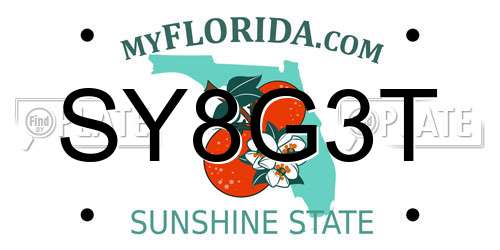 SY8G3T Florida License Plate