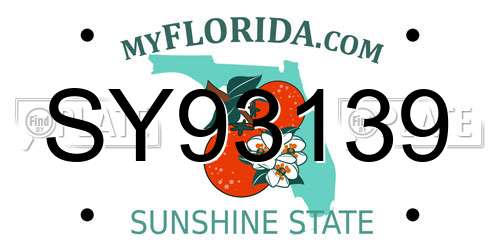 SY93139 Florida License Plate