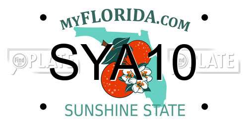 SYA10 Florida License Plate