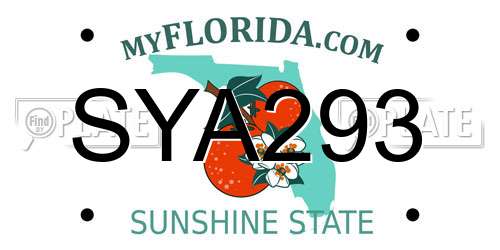 SYA293 Florida License Plate