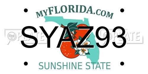 SYAZ93 Florida License Plate