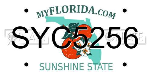 SYC5256 Florida License Plate
