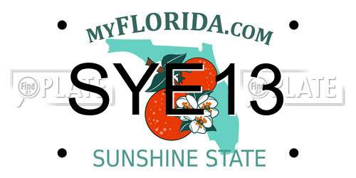 SYE13 Florida License Plate