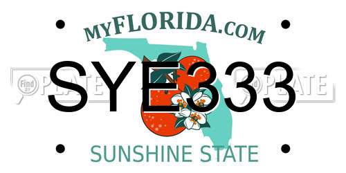 SYE333 Florida License Plate