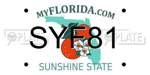 SYF81 Florida License Plate