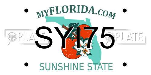 SYI75 Florida License Plate