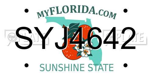 SYJ4642 Florida License Plate