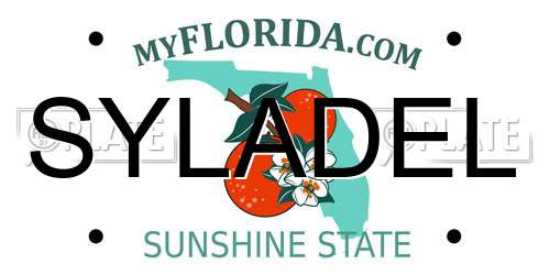 SYLADEL Florida License Plate