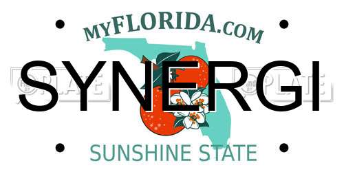 SYNERGI Florida License Plate