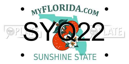 SYQ22 Florida License Plate