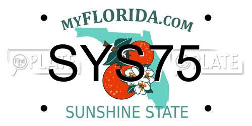 SYS75 Florida License Plate