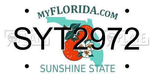 SYT2972 Florida License Plate