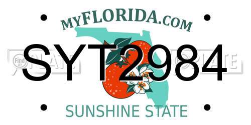 SYT2984 Florida License Plate