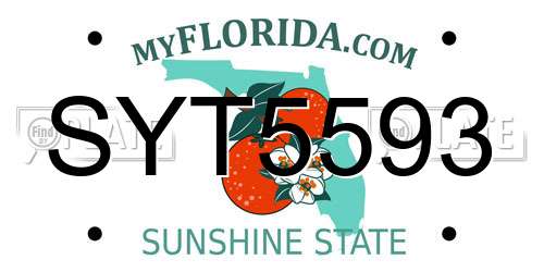 SYT5593 Florida License Plate