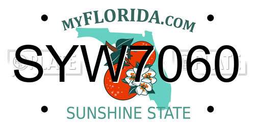 SYW7060 Florida License Plate
