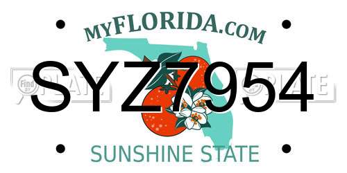 SYZ7954 Florida License Plate