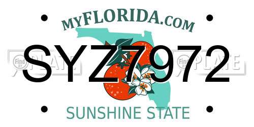 SYZ7972 Florida License Plate