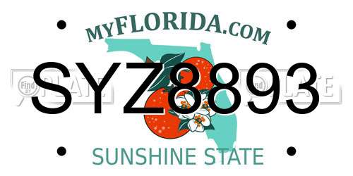 SYZ8893 Florida License Plate