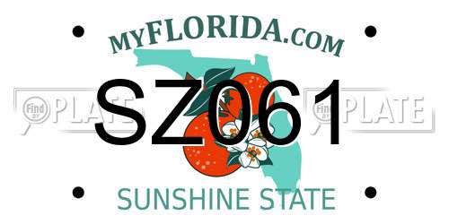 SZ061 Florida License Plate